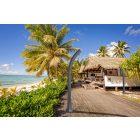 Happy Five F530 kerti szolár zuhany  időzítős lábmosóval