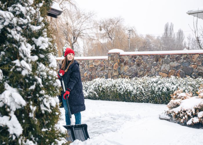 A téli kert titkai – tippek és tanácsok kertészektől
