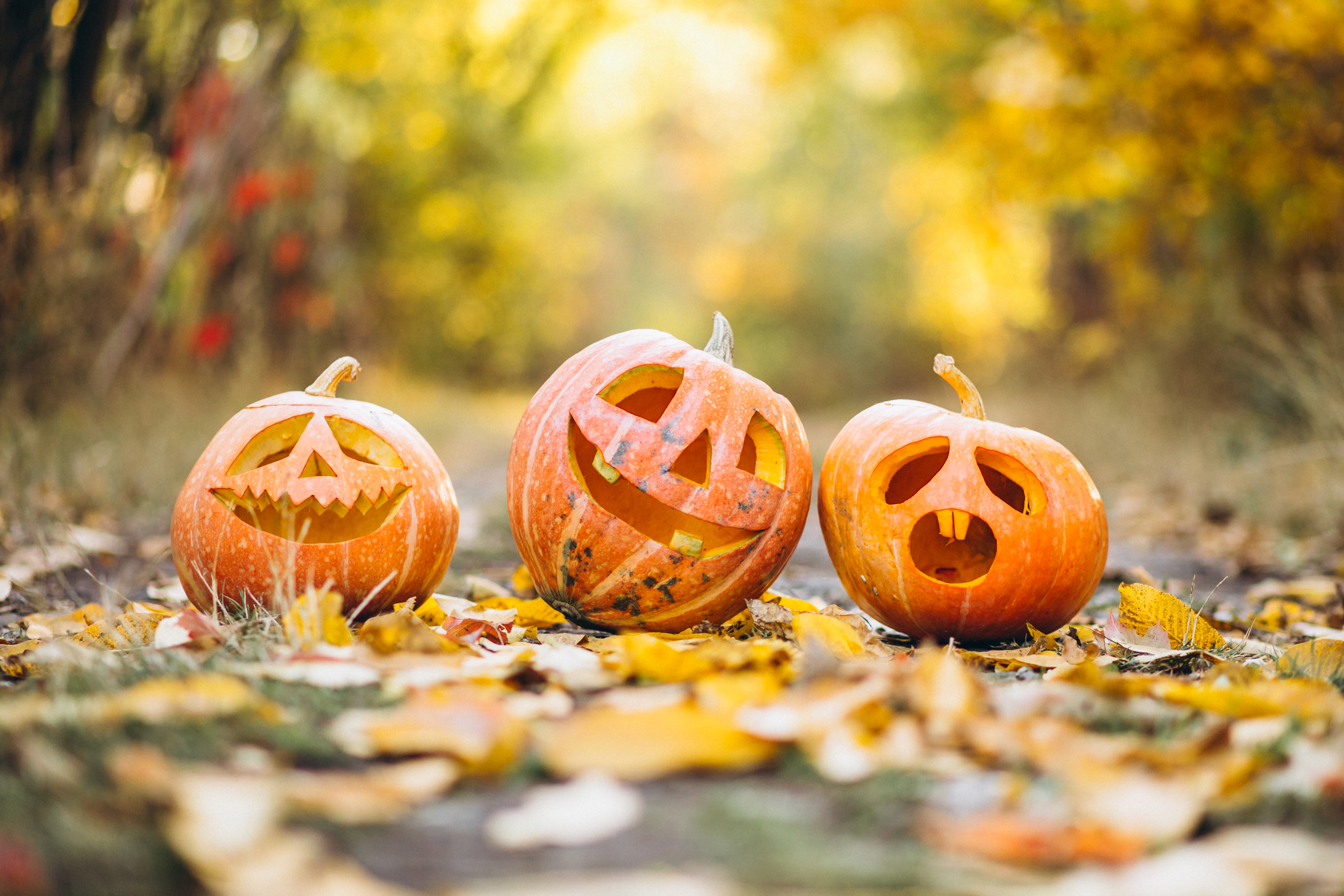 Visszafogott őszi és halloweeni dekorációs ötletek a kertben